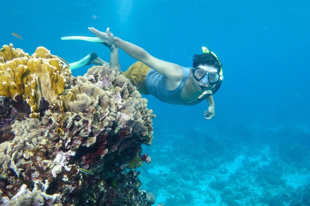 A guest snorkeling next to some corals at the barrier reef