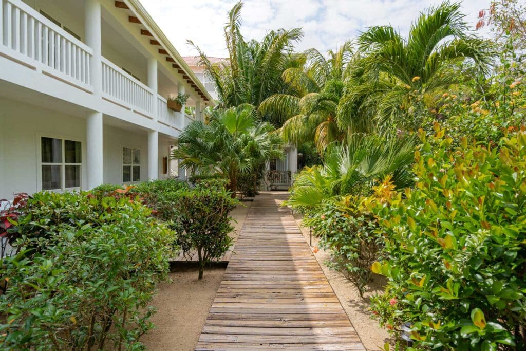 The wooden walkway at Umaya Resort & Adventures